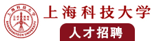 大鸡巴插逼逼视频